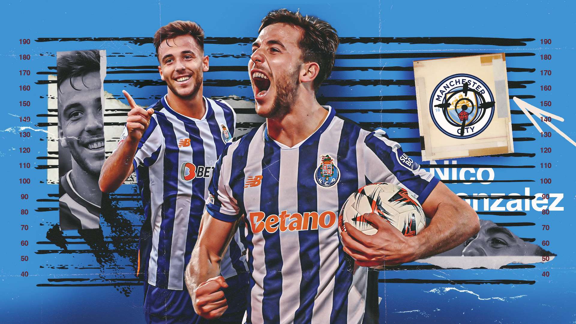 它们不仅是 它们不仅是